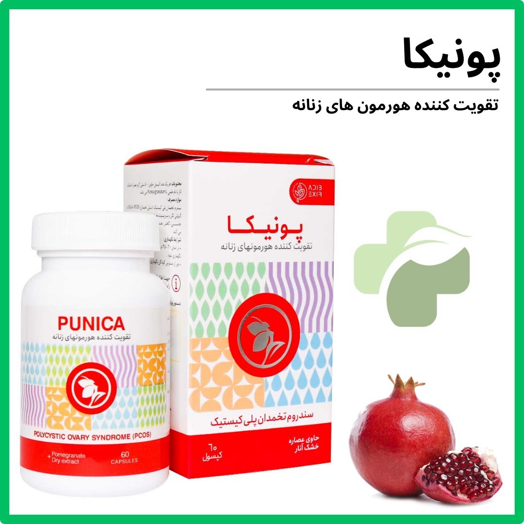 پونیکا ادیب اکسیر 60 عددی