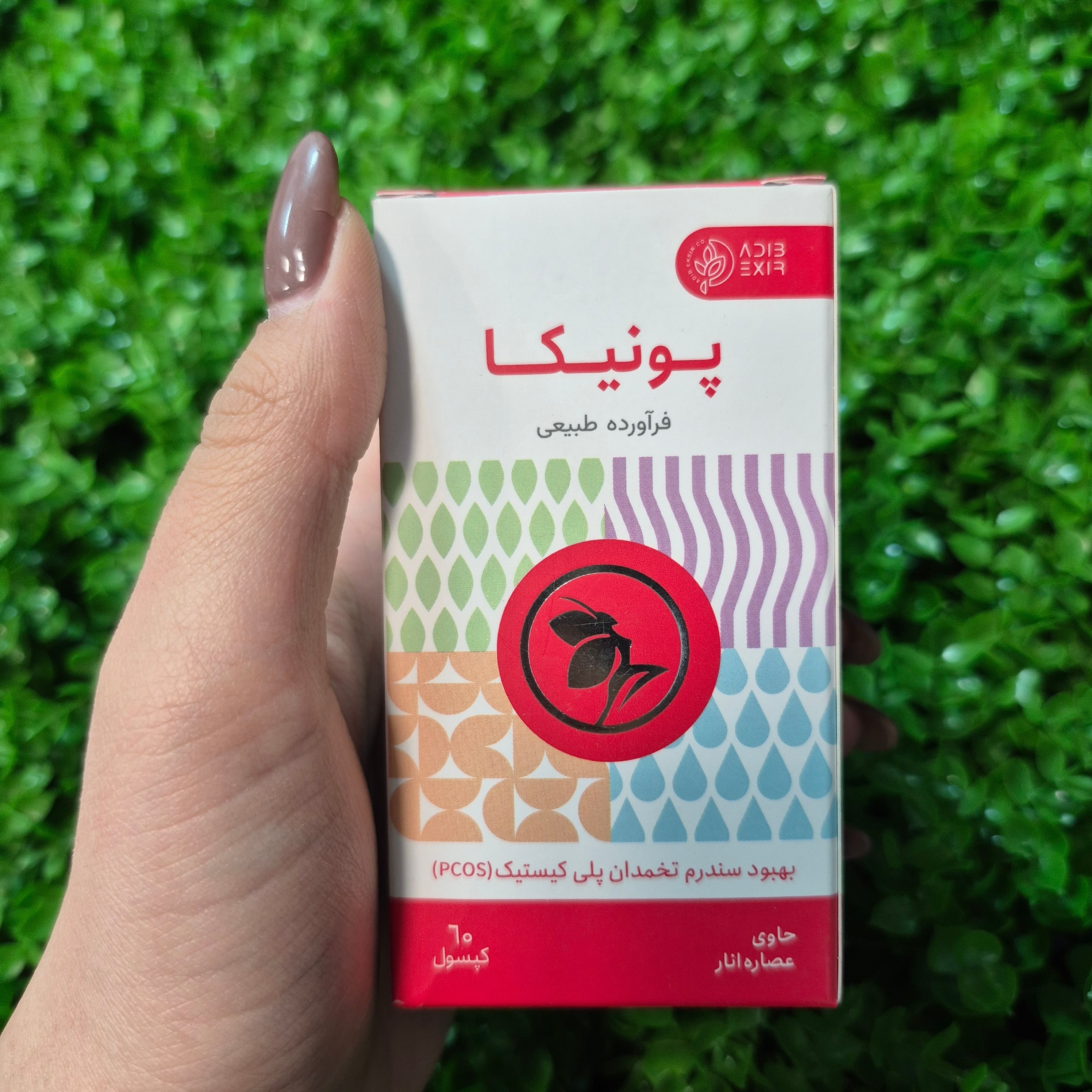 پونیکا ادیب اکسیر 60 عددی