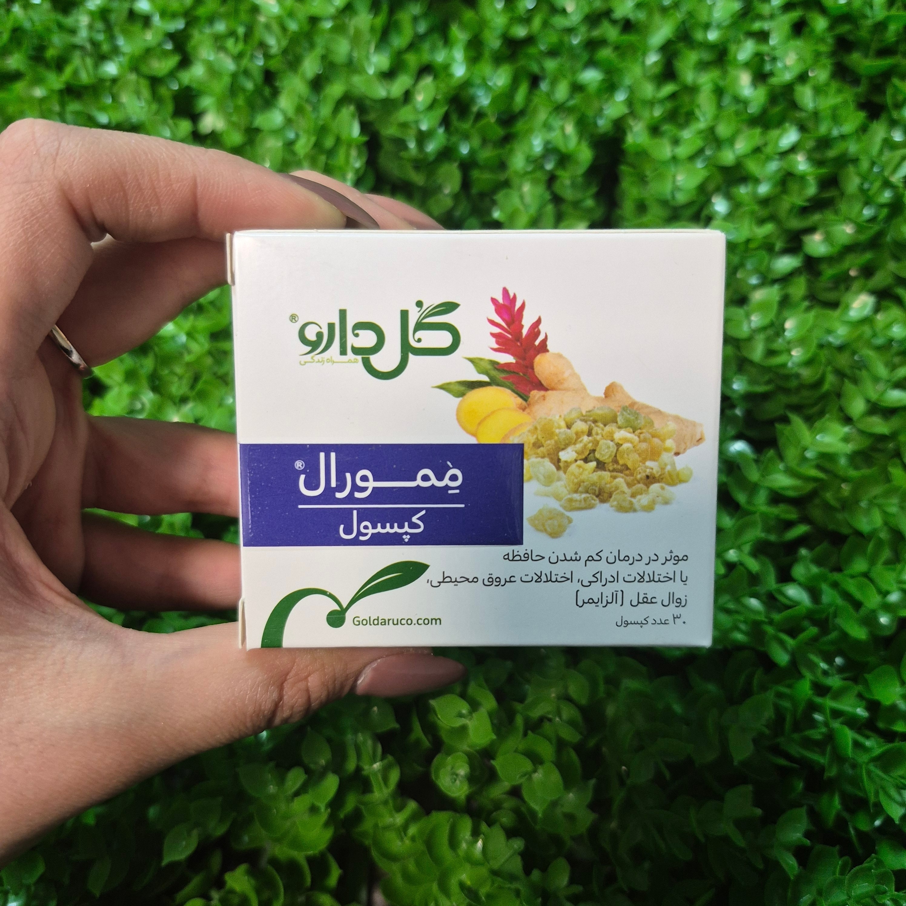 حب گیاهی تقویت حافظه ممورال