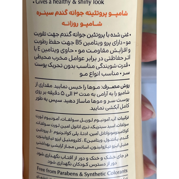 شامپو پروتئینه جوانه گندم سینره 250 میلی لیتر شامپو روزانه
