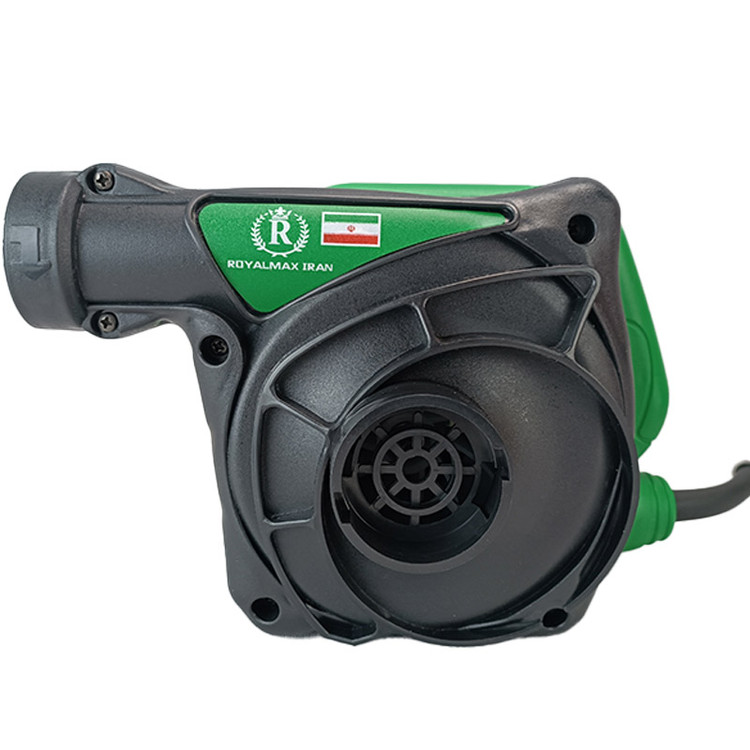 بلوور رویال مکس مدل RM-1000W green