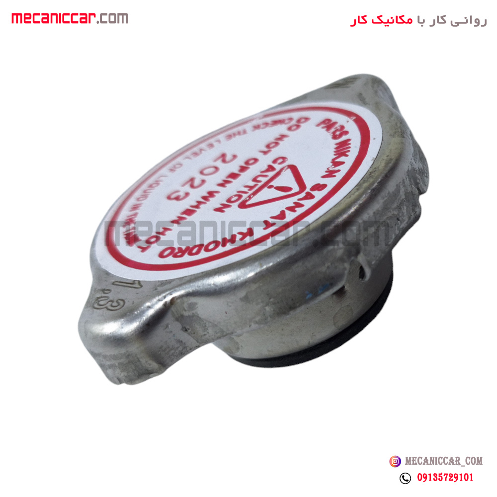 درب رادیاتور ریو الما