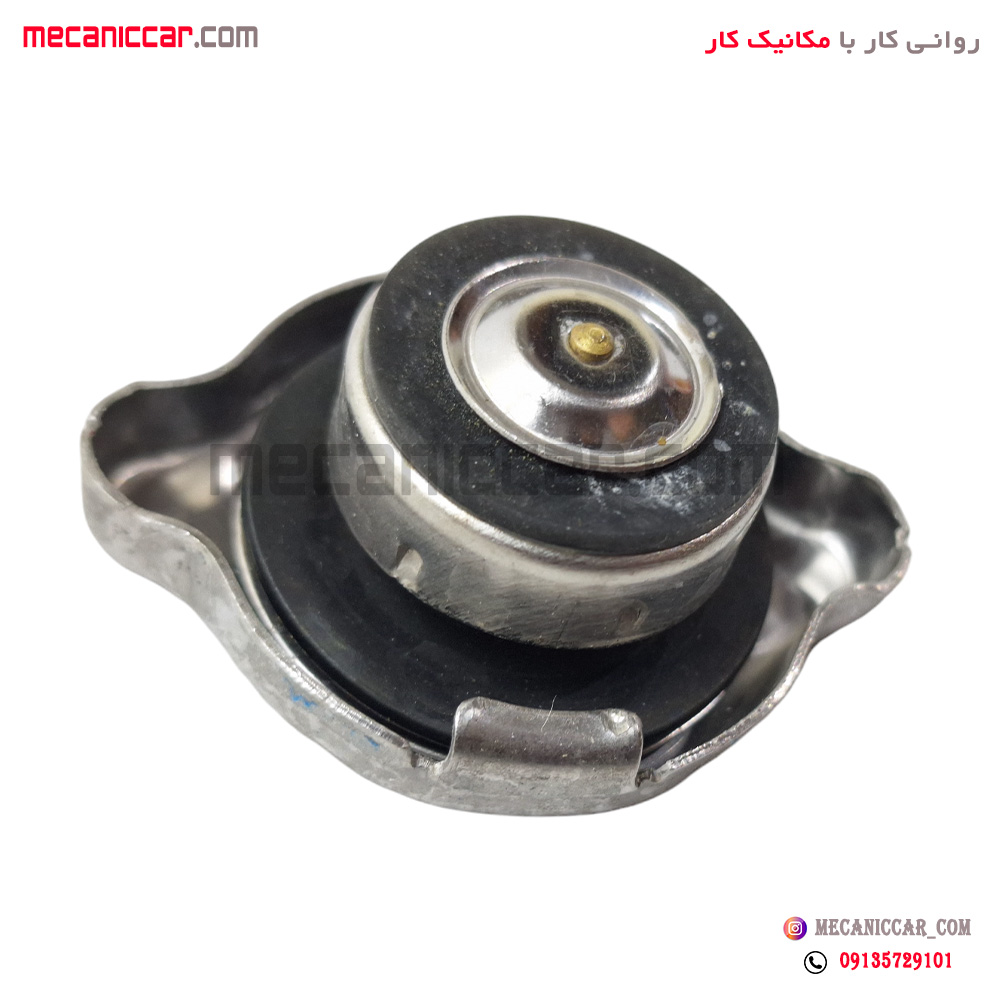 درب رادیاتور ریو الما