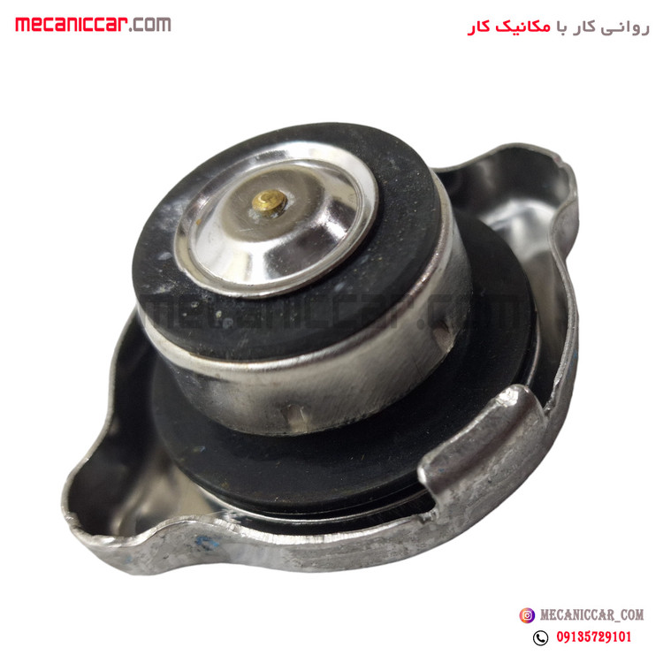 درب رادیاتور ریو الما