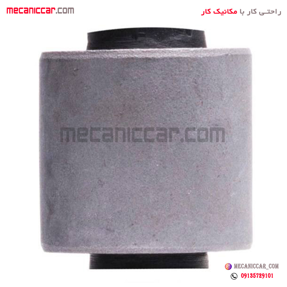 بوش دوشاخ رام پژو 206 ارال تک