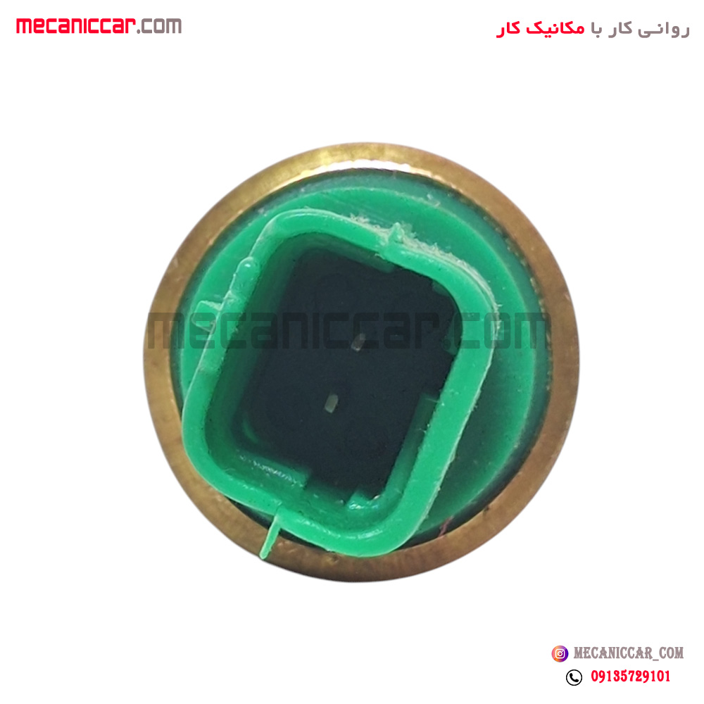 فشنگی (سنسور) دمای اب دو فیش سبز بدون رزوه پژو 206 تیپ 5 طهران پارت