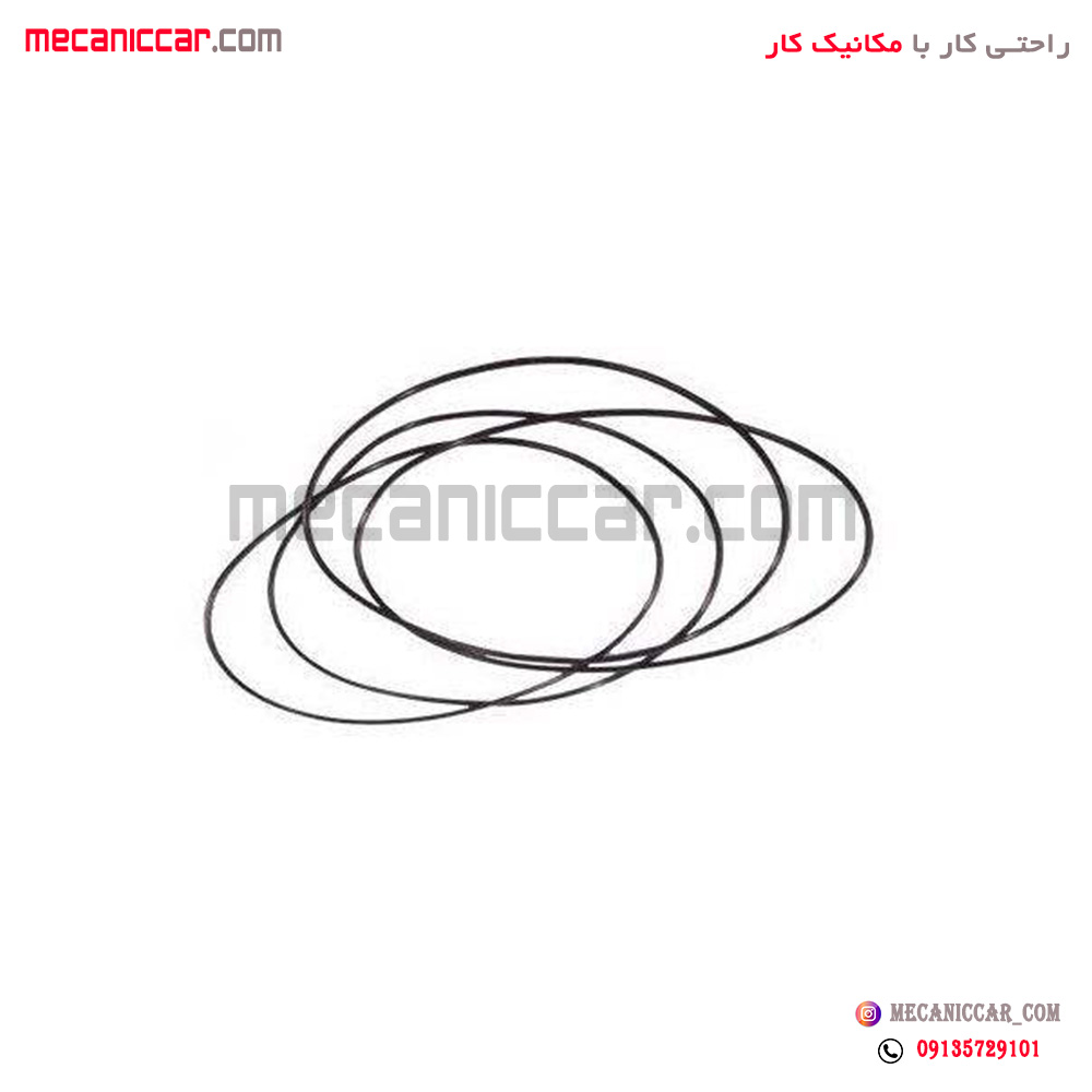 اورینگ دور بوش پیستون پژو 405 و پارس و سمند ایساکو