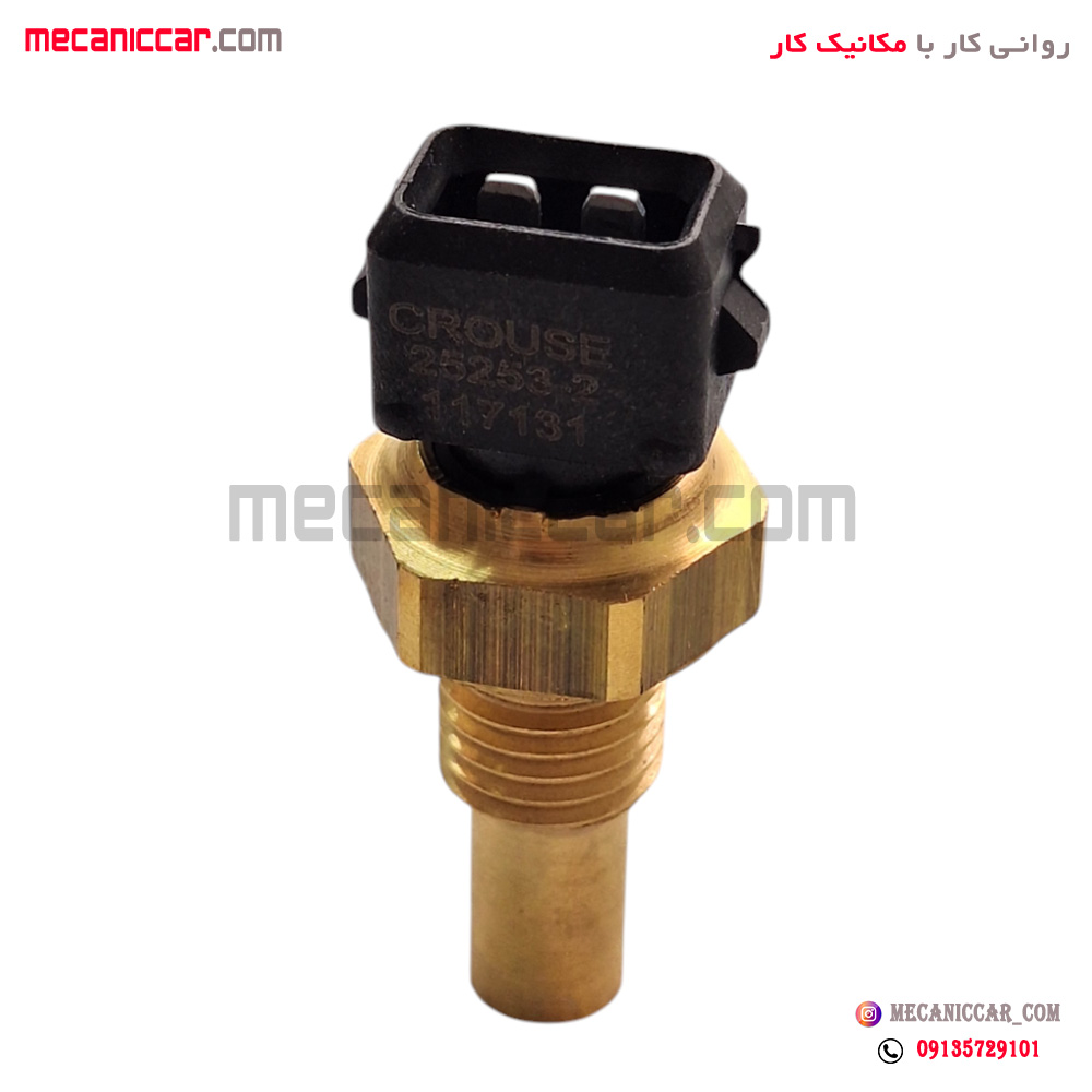 فشنگی (مهره) دما اب مشکی زیمنس پژو 405 و پارس و پراید کروز