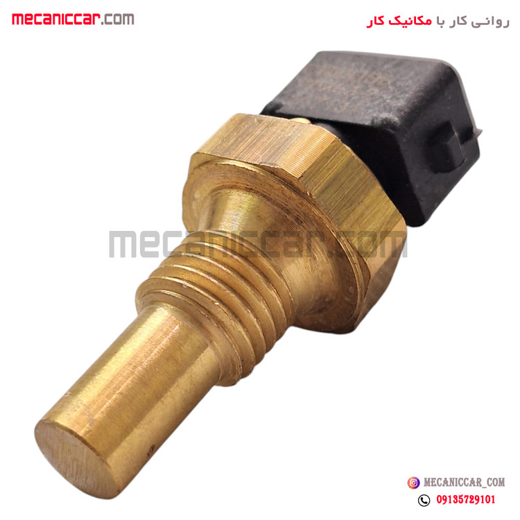 فشنگی (مهره) دما اب مشکی زیمنس پژو 405 و پارس و پراید کروز