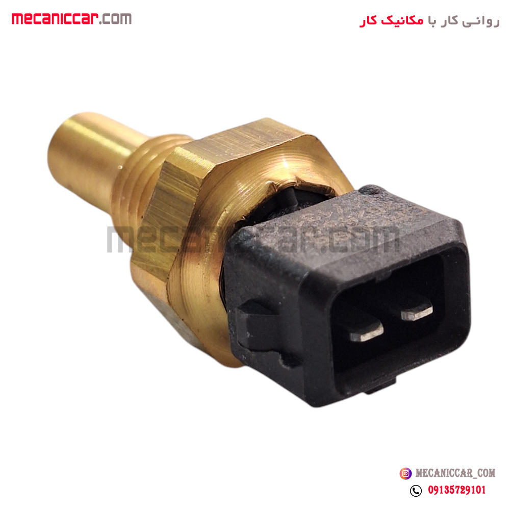 فشنگی (مهره) دما اب مشکی زیمنس پژو 405 و پارس و پراید کروز
