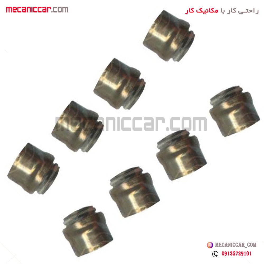 لاستیک (کاسه نمد) ساق سوپاپ پراید ویژن